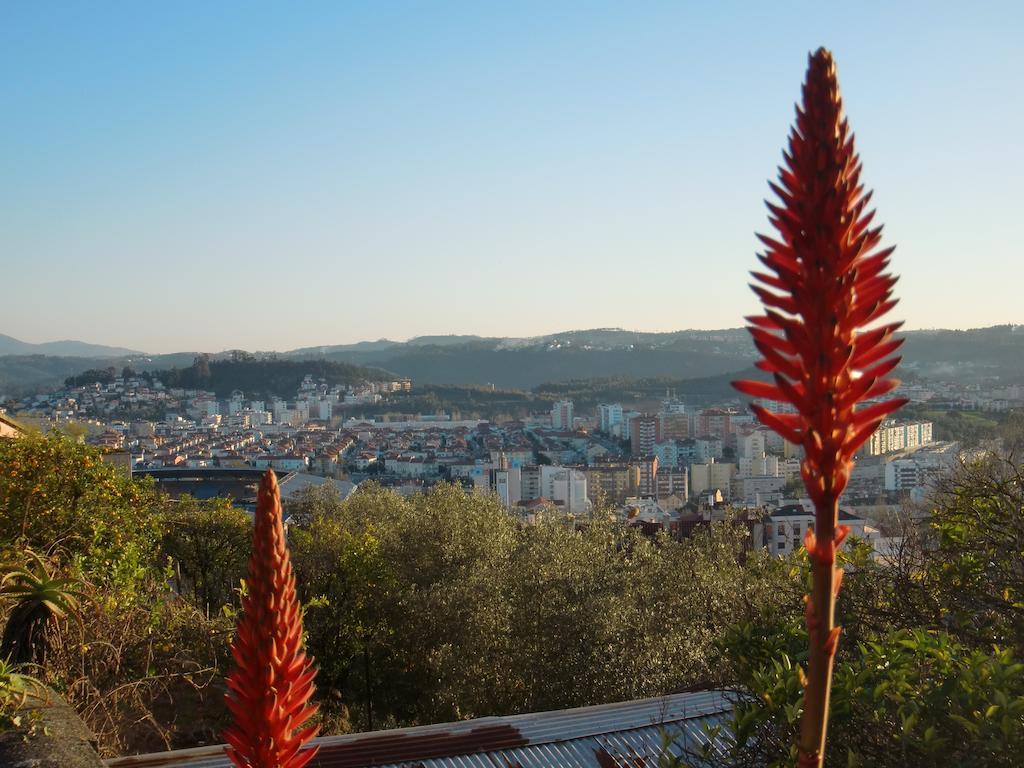 Csi Coimbra & Guest House - Student Accommodation Luaran gambar